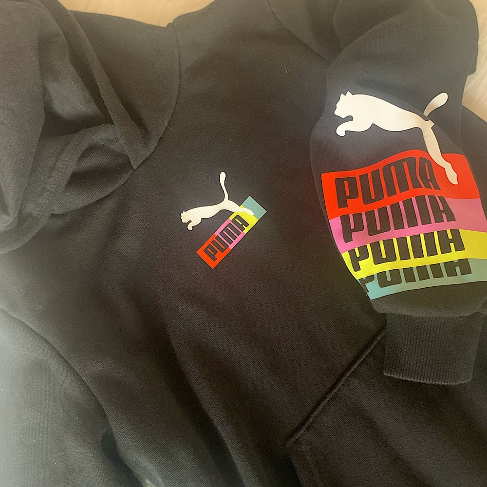 Colorful Puma pullover Hoodie